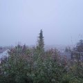 Webcam_20191106-080000
