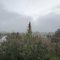 Webcam_20191106-103000