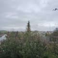 Webcam_20191106-143000
