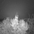 Webcam_20191106-200000