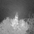 Webcam_20191106-213000