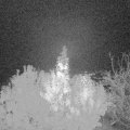 Webcam_20191107-050000