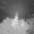Webcam_20191107-060000