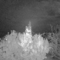 Webcam_20191107-193000