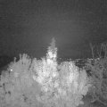 Webcam_20191107-203000