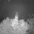 Webcam_20191107-213000