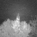 Webcam_20191107-220000