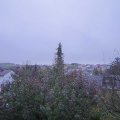 Webcam_20191108-073000