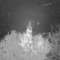 Webcam_20191108-193000