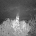 Webcam_20191109-213000