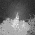 Webcam_20191110-060000