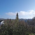 Webcam_20191110-113000