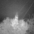 Webcam_20191111-053000