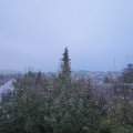 Webcam_20191111-080000