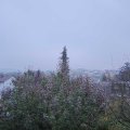 Webcam_20191111-083000
