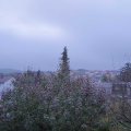 Webcam_20191111-163000
