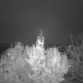 Webcam_20191111-173000