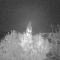 Webcam_20191111-180000