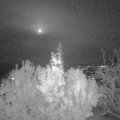 Webcam_20191111-190000