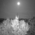 Webcam_20191111-200000