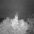 Webcam_20191111-210000