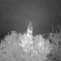 Webcam_20191111-213000