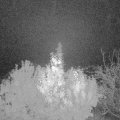 Webcam_20191112-050000