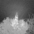 Webcam_20191112-053000