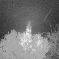 Webcam_20191112-060000