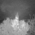 Webcam_20191112-063000