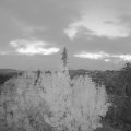 Webcam_20191112-070000