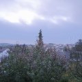 Webcam_20191112-073000