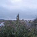 Webcam_20191112-090000