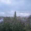 Webcam_20191112-113000