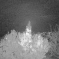 Webcam_20191112-183000