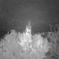 Webcam_20191112-190000