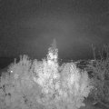 Webcam_20191112-203000