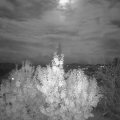 Webcam_20191112-210000