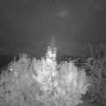 Webcam_20191112-213000