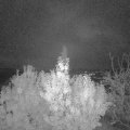 Webcam_20191113-050000