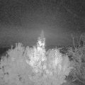 Webcam_20191113-053000