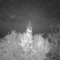 Webcam_20191113-060000