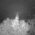 Webcam_20191113-063000