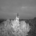 Webcam_20191113-070000