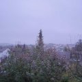 Webcam_20191113-073000