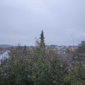 Webcam_20191113-100000