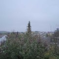 Webcam_20191113-110000