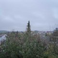Webcam_20191113-113000
