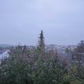 Webcam_20191113-163000