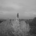 Webcam_20191113-170000